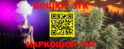 гашик Новодвинск