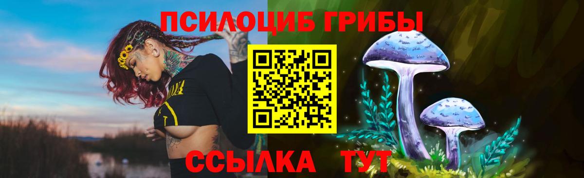 Чайковский  цена наркотик  Вход с VPN  Псилоцибиновые грибы MAGIC MUSHROOMS 